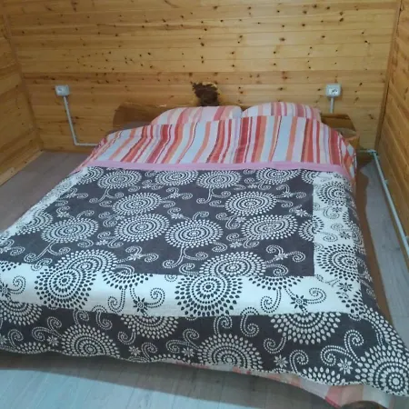 Eagles Land * Moll' e Shoshit