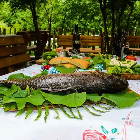 Eagles Land Pensjonat Moll' e Shoshit