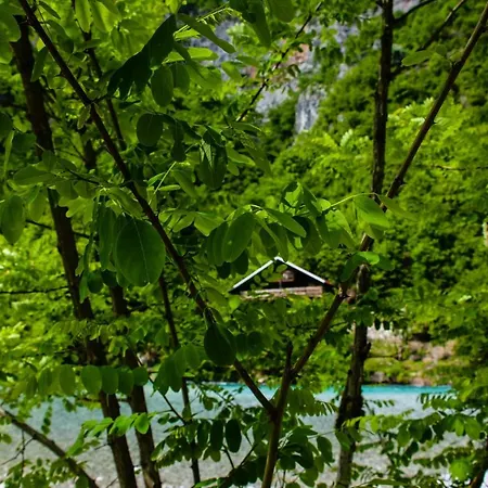 Eagles Land Pensjonat