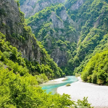 Eagles Land * Moll' e Shoshit