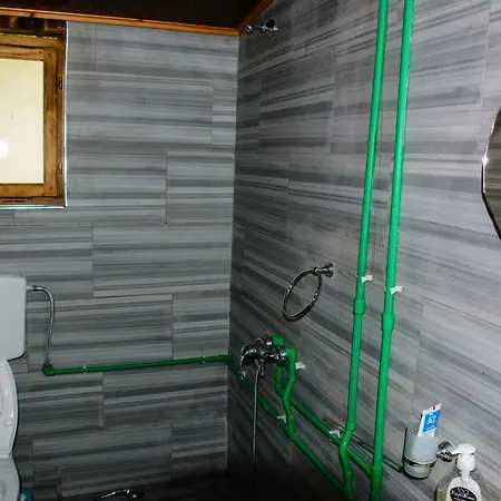 Eagles Land * Moll' e Shoshit