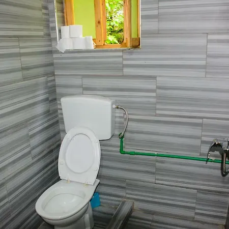 Eagles Land * Moll' e Shoshit