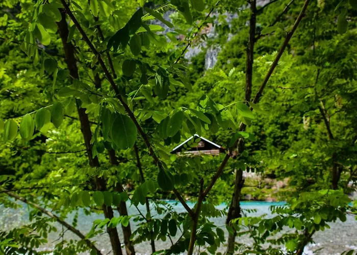 Eagles Land 게스트하우스