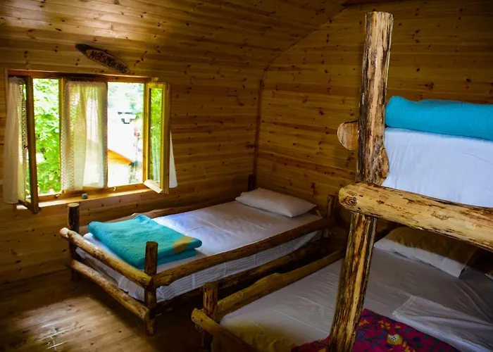 Eagles Land Moll' e Shoshit