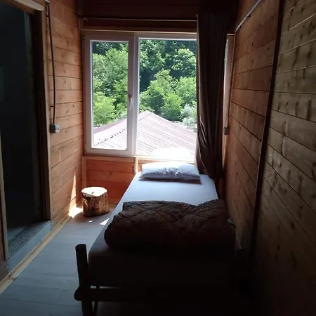 Eagles Land Moll' e Shoshit