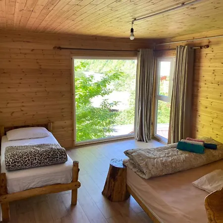 Eagles Land Moll' e Shoshit