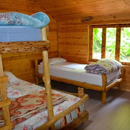 Guest house Eagles Land Moll' e Shoshit