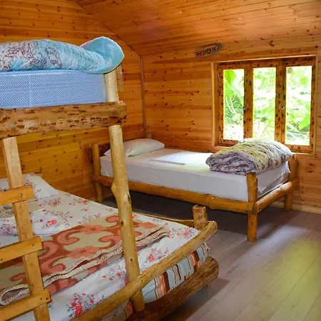 Eagles Land Moll' e Shoshit