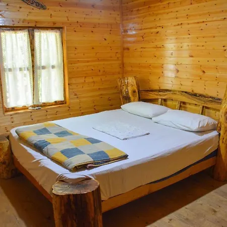 Eagles Land Moll' e Shoshit