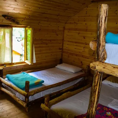 Eagles Land Moll' e Shoshit