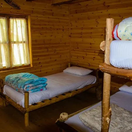 Eagles Land Moll' e Shoshit