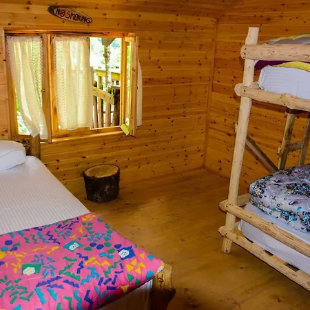 Eagles Land * Moll' e Shoshit