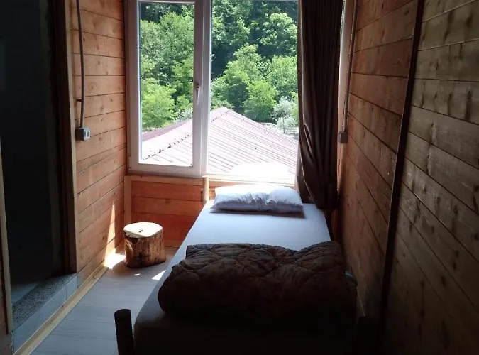 Eagles Land Moll' e Shoshit