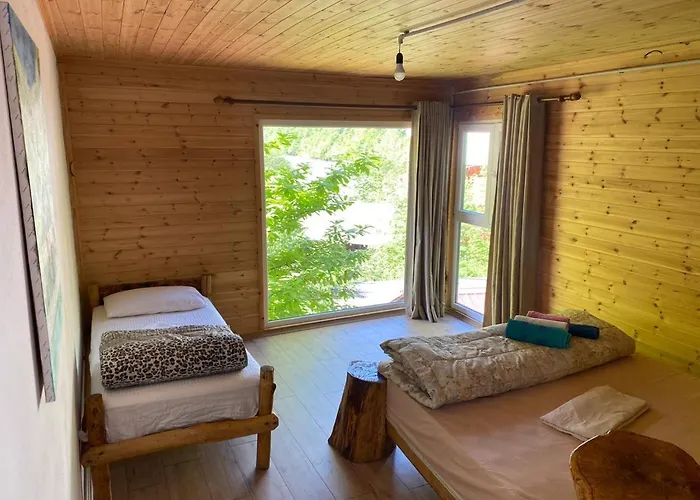 Eagles Land Moll' e Shoshit