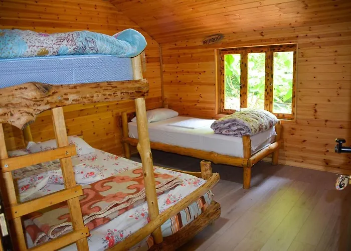 Eagles Land Moll' e Shoshit