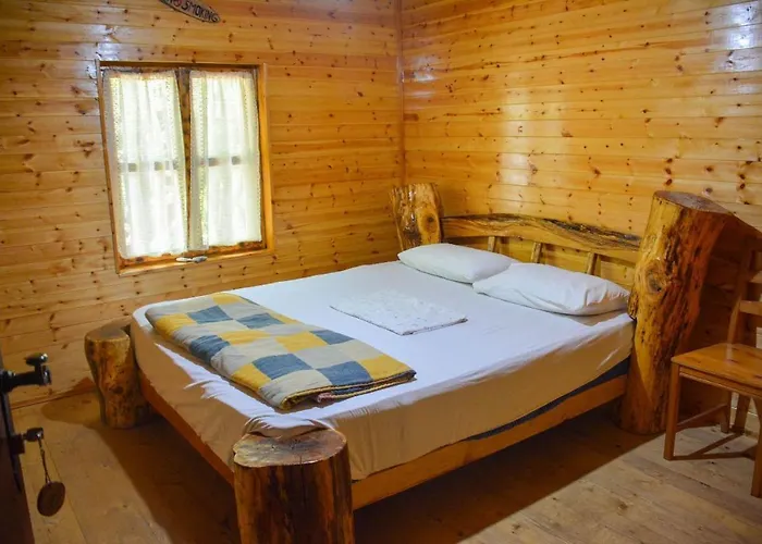 Eagles Land Moll' e Shoshit