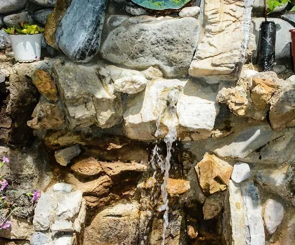 Eagles Land Gæstehus Moll' e Shoshit