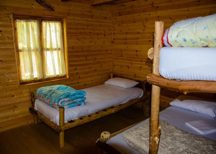 Eagles Land Moll' e Shoshit