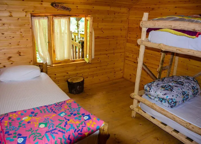 Eagles Land * Moll' e Shoshit