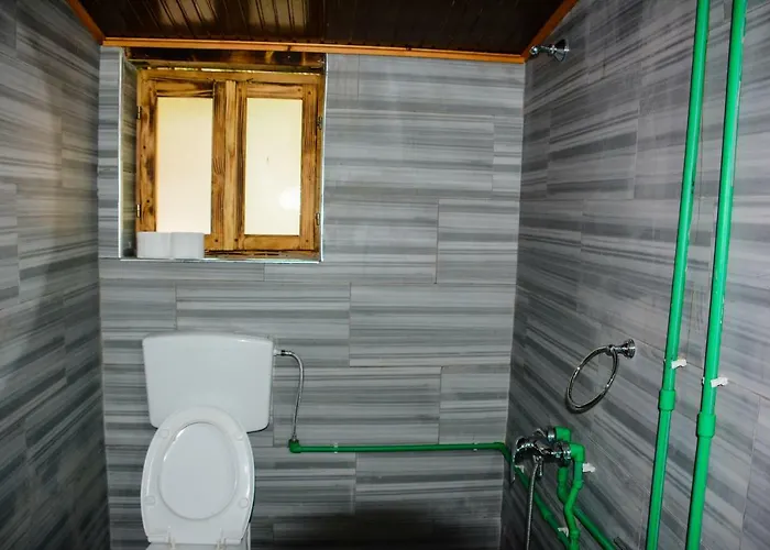 Eagles Land * Moll' e Shoshit